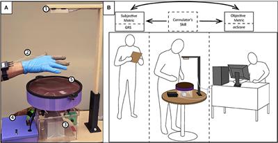 Measuring Cannulation Skills for Hemodialysis: Objective Versus Subjective Assessment